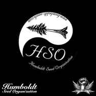 Humboldt Seed Organization Headband